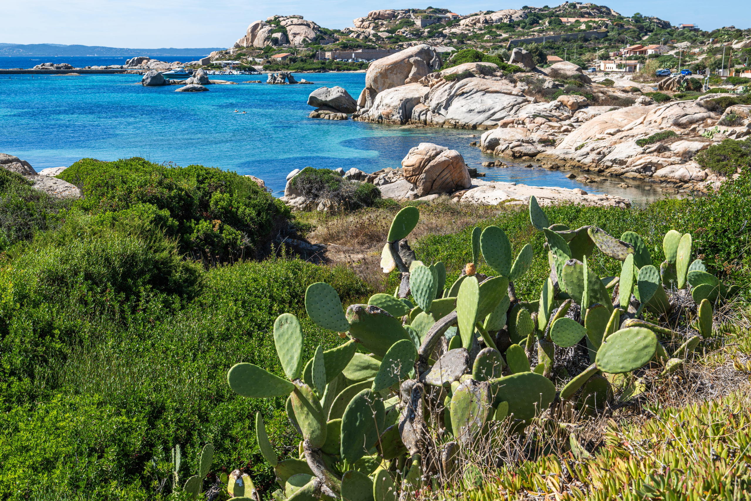 Coastal Scenery With Cactus and Clear Blue Water in a Bay in La Maddalena, Sardinia